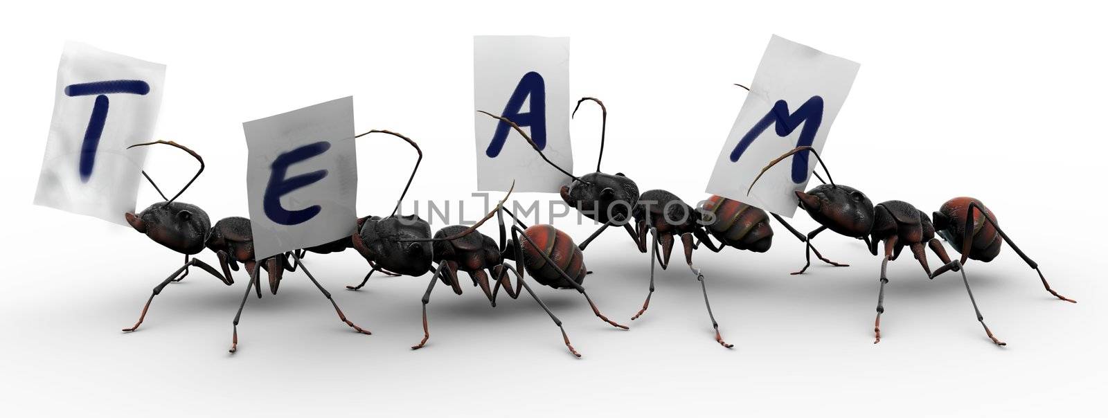 Four Ants Four Ants Team Work by LeoBlanchette