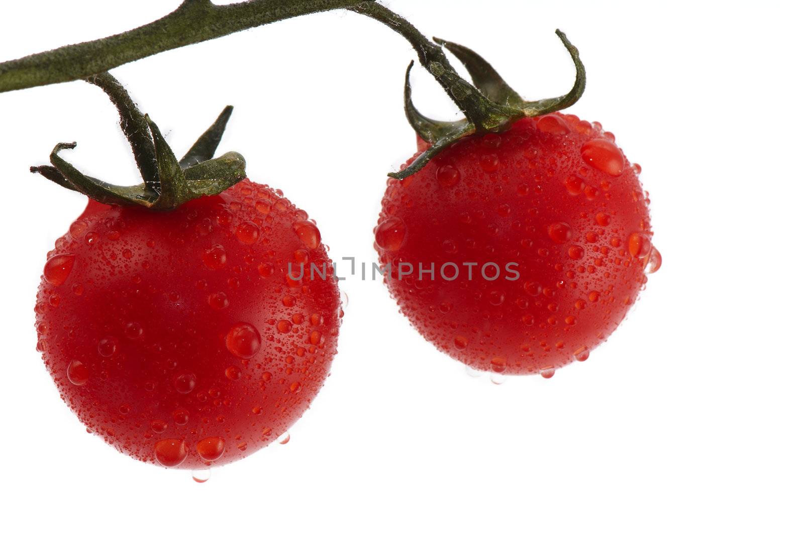 Two mini tomatoes in drops of water. Studio shooting