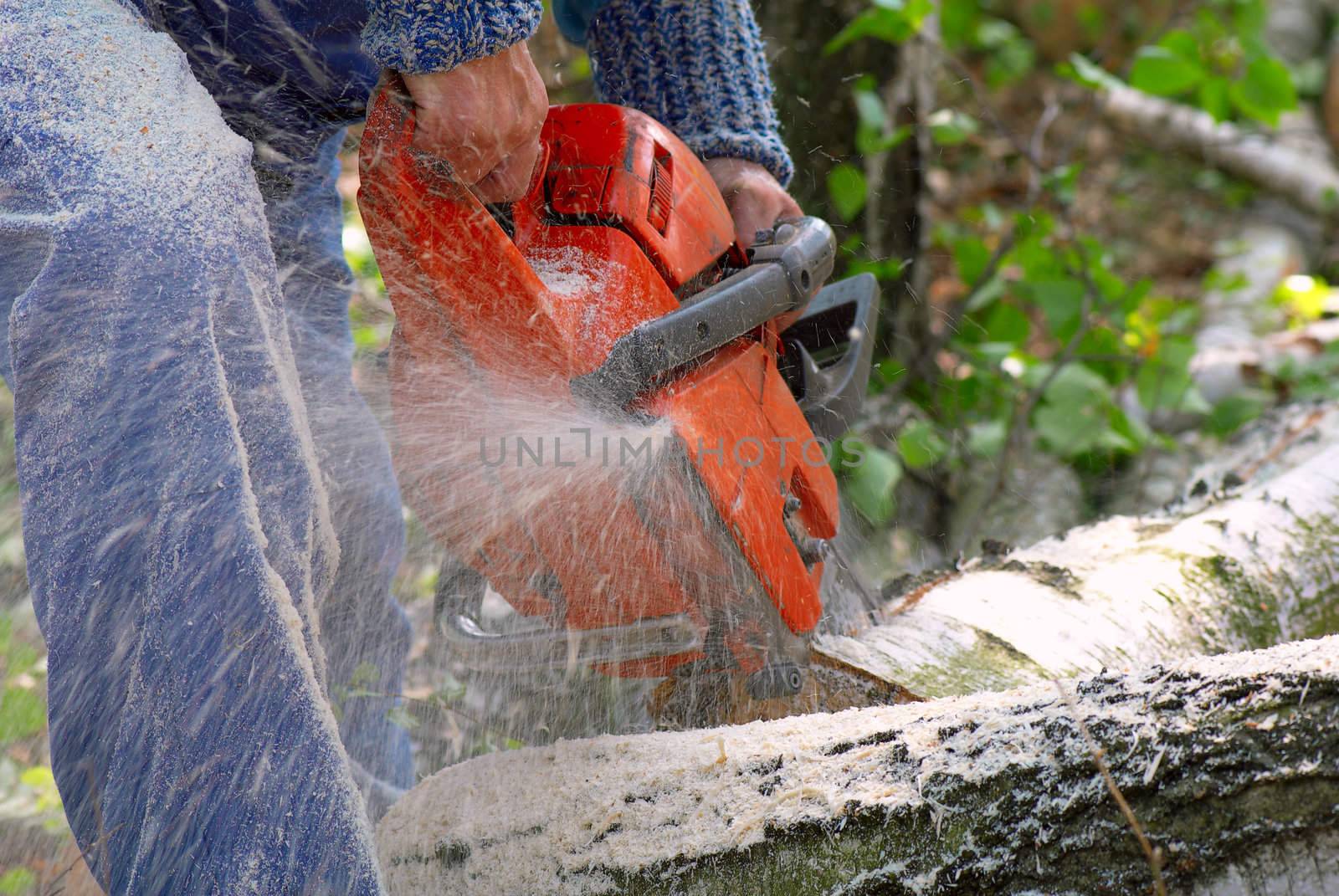 Man cutting big piece of wood with chain saw.