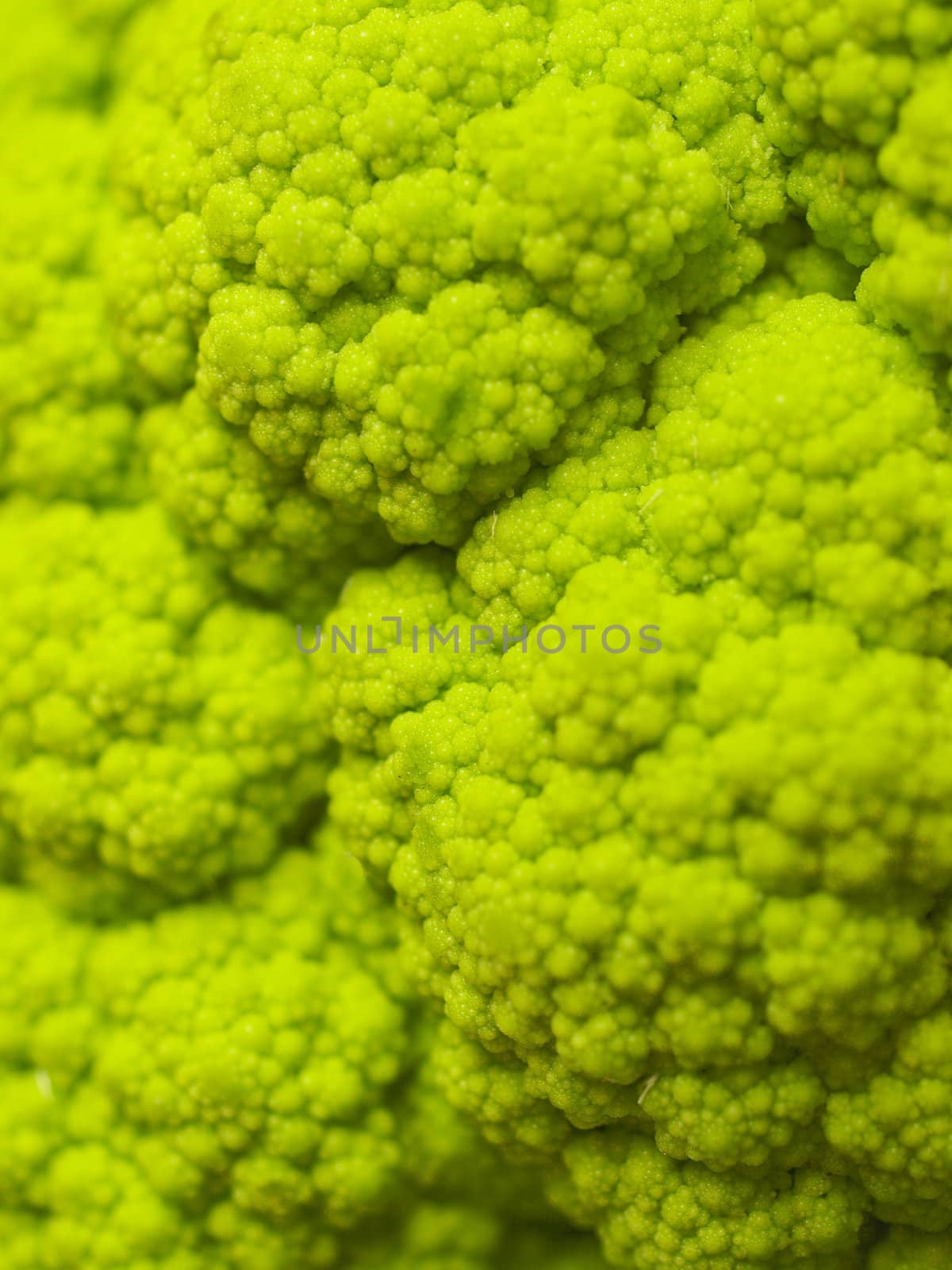 Detail of a green cauliflower vegetable food