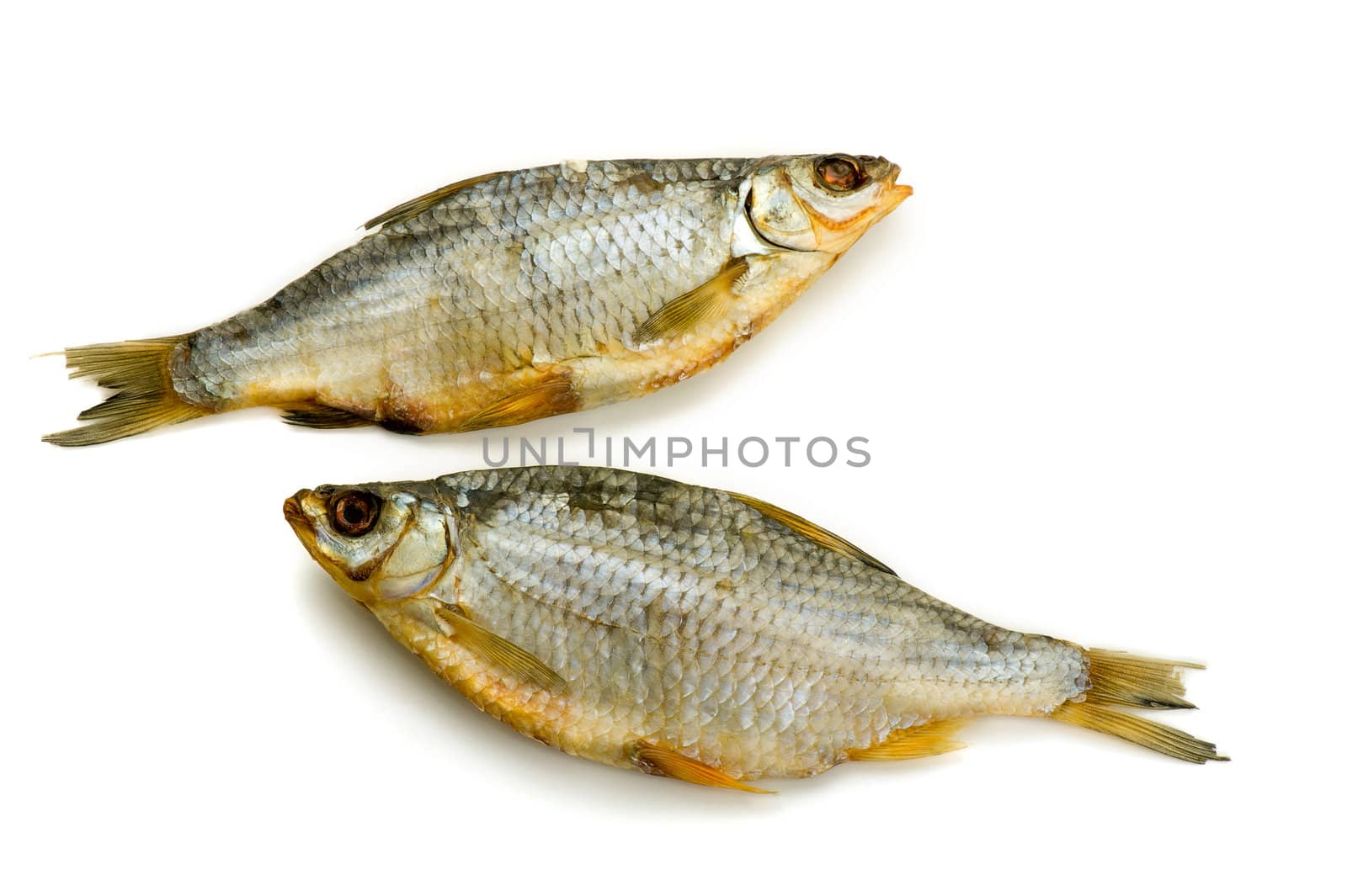 Two dried fish on white background