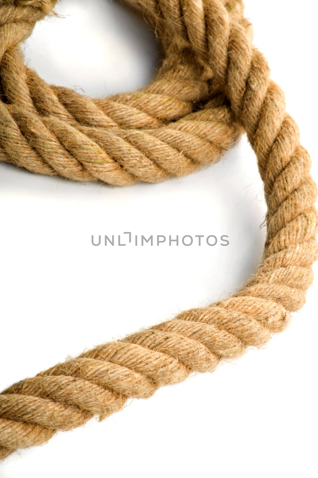 Chaotic coils of a thick rope on a white background