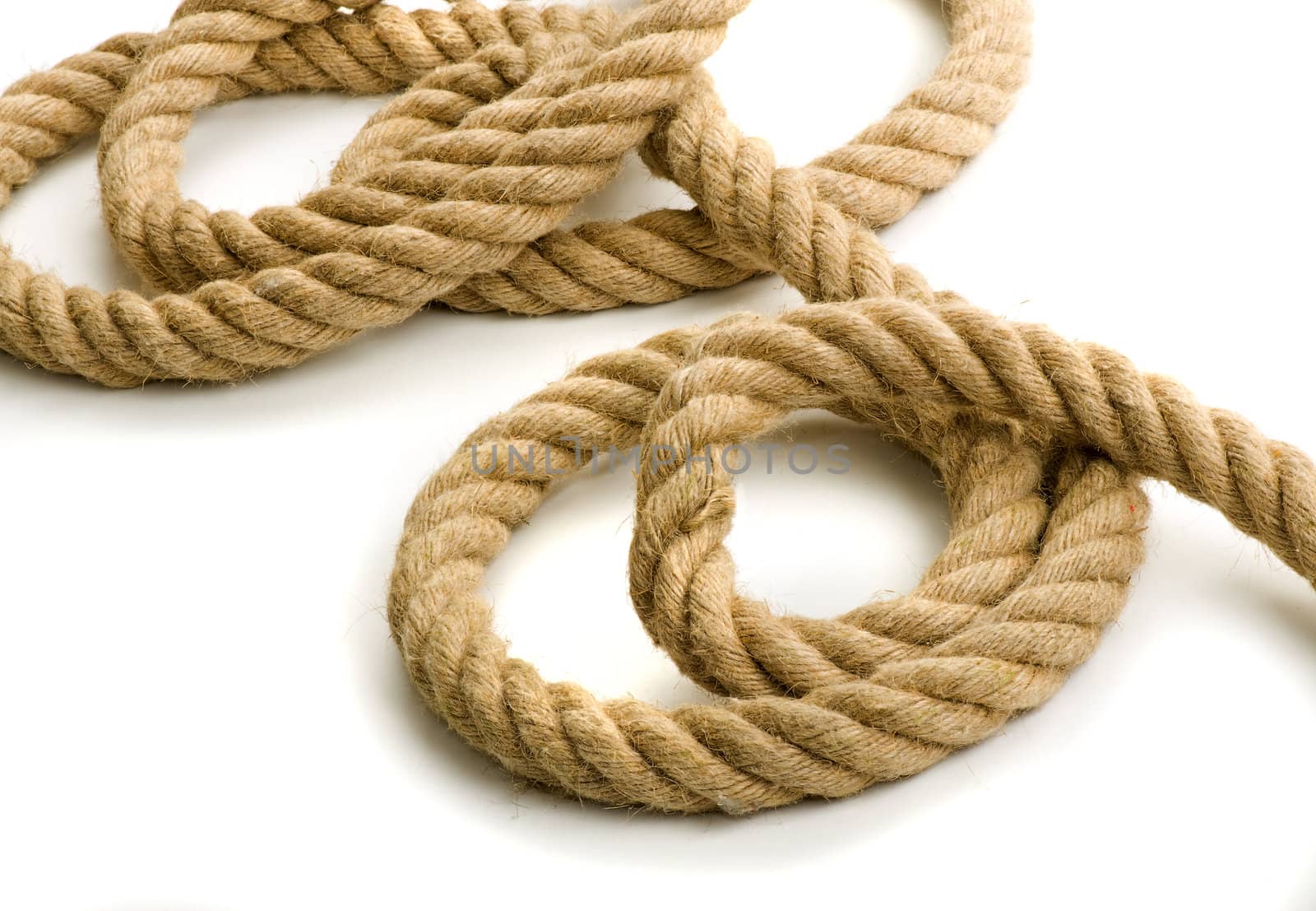Chaotic coils of a thick rope on a white background