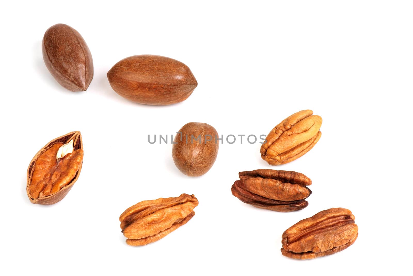 Collection of pecan nuts in a shell and without it on a white background