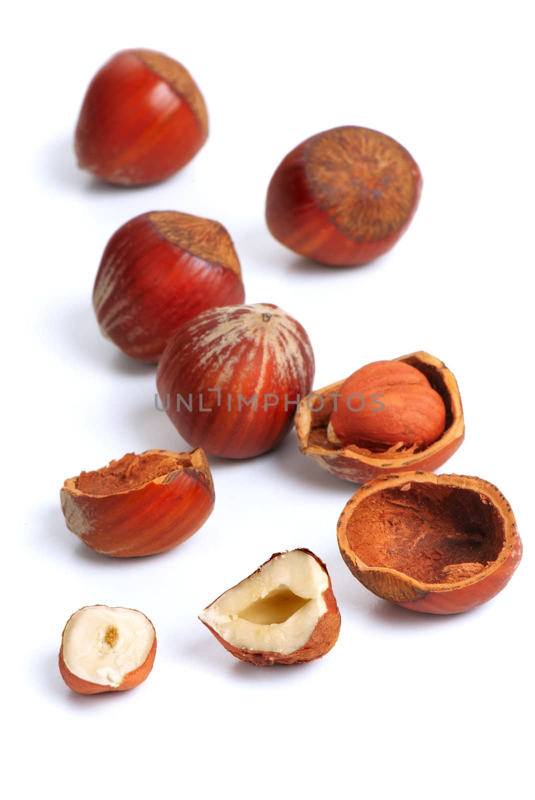Hazelnuts  on a white background