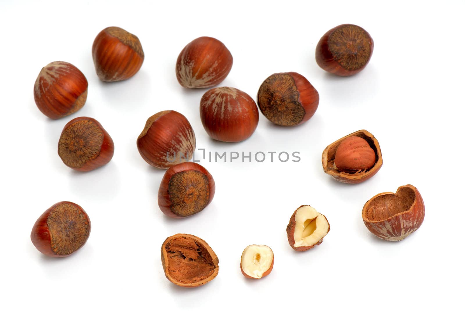 Hazelnuts  on a white background