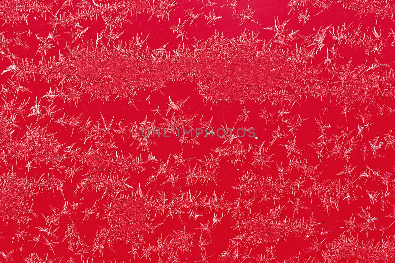 Frost Iceflower  on a red surface of car