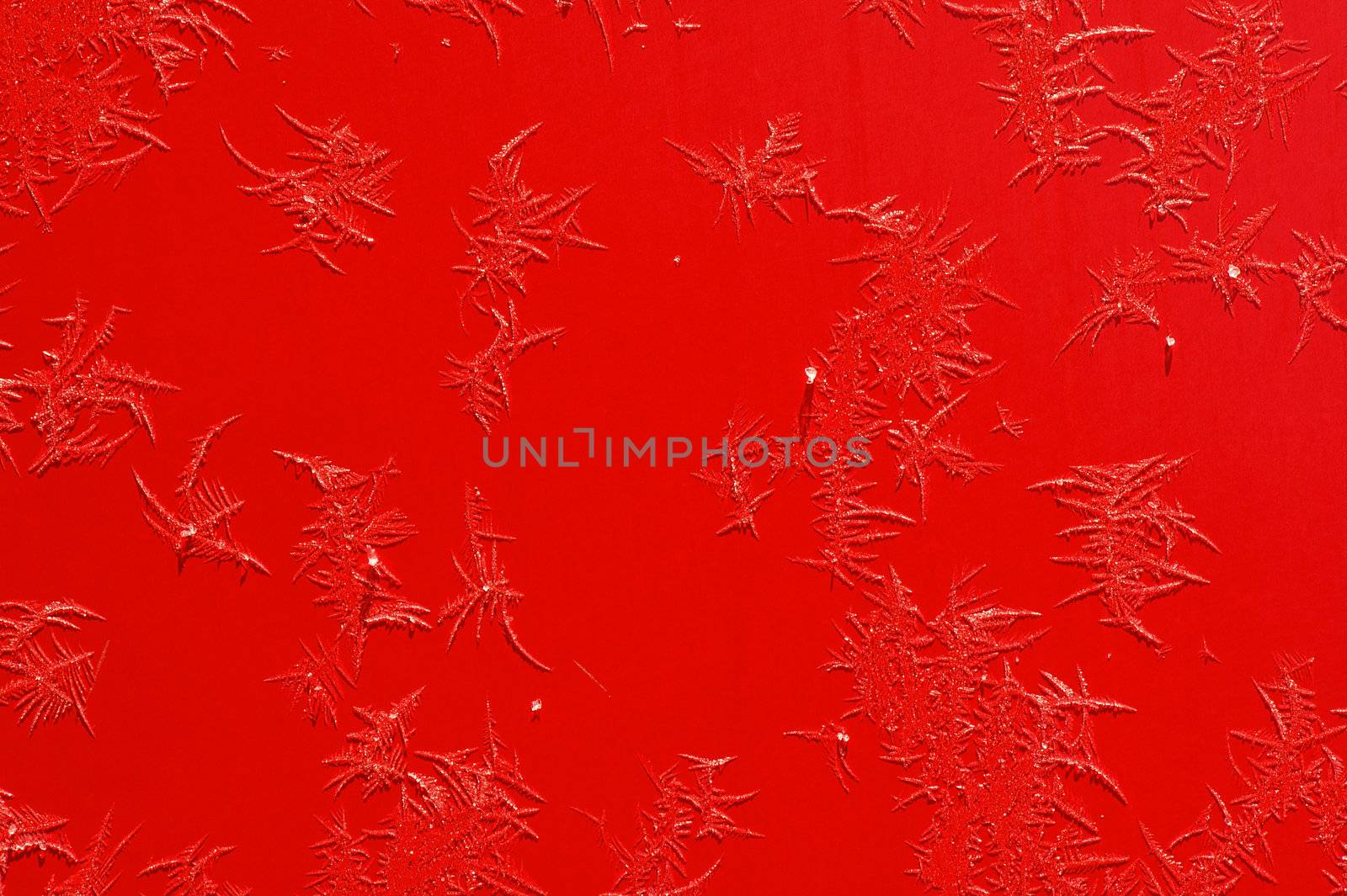 Frost Ice-flower  on a red surface of car