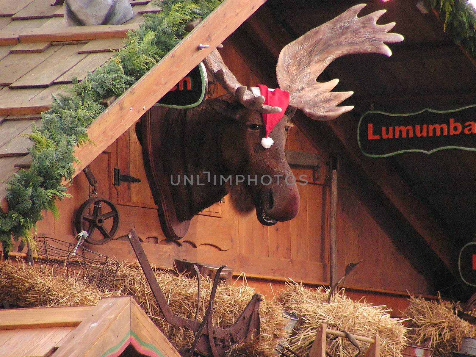 Elk in christmas cap on market