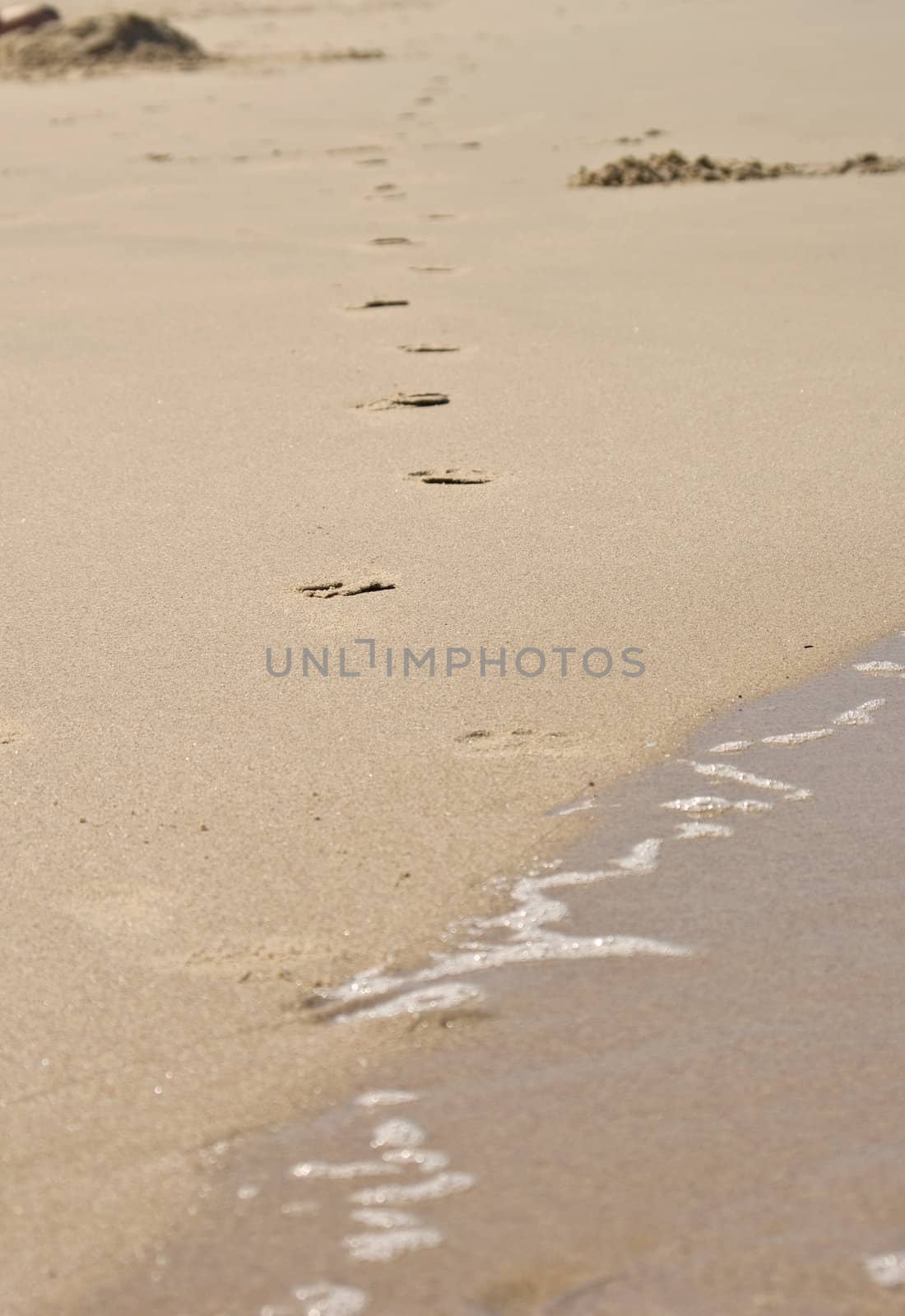 footprints at the beach come out of the water and walk away