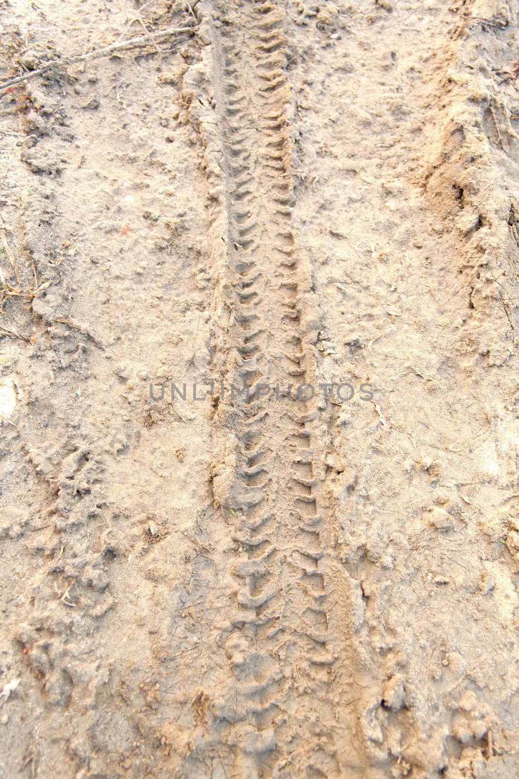 motorcycle tire tracks imprinted in the wet sand