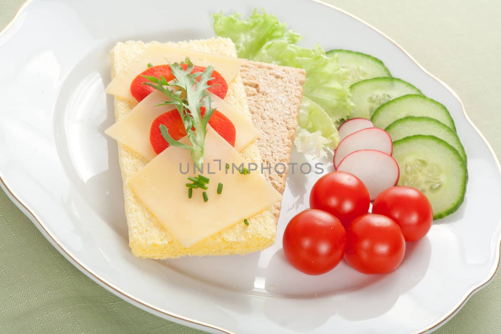 dietetic sandwich tasty breakfast on the plate 