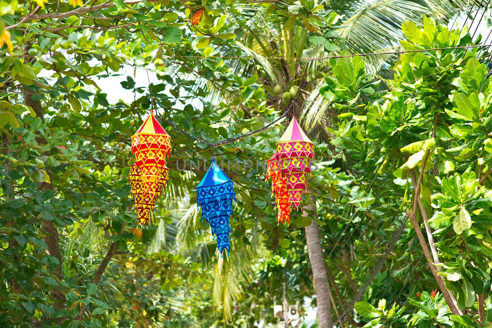 Colorful chinese lanterns hanging on a tree