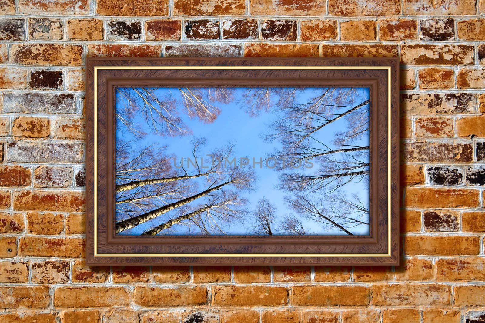 Photo in modern frame on the old brick wall