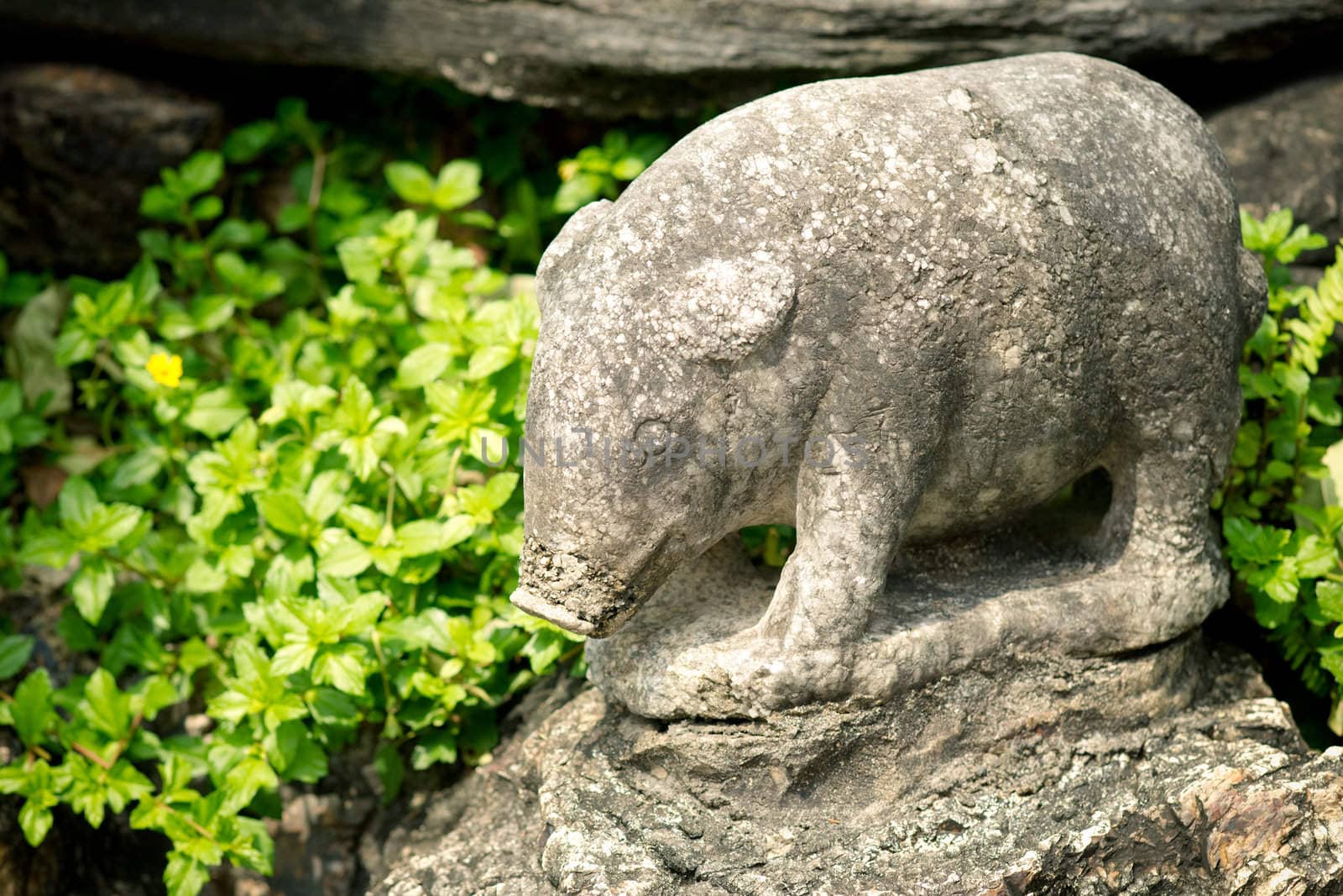 Stone statue of a pig in Grand palace, Bangkok, Thailand