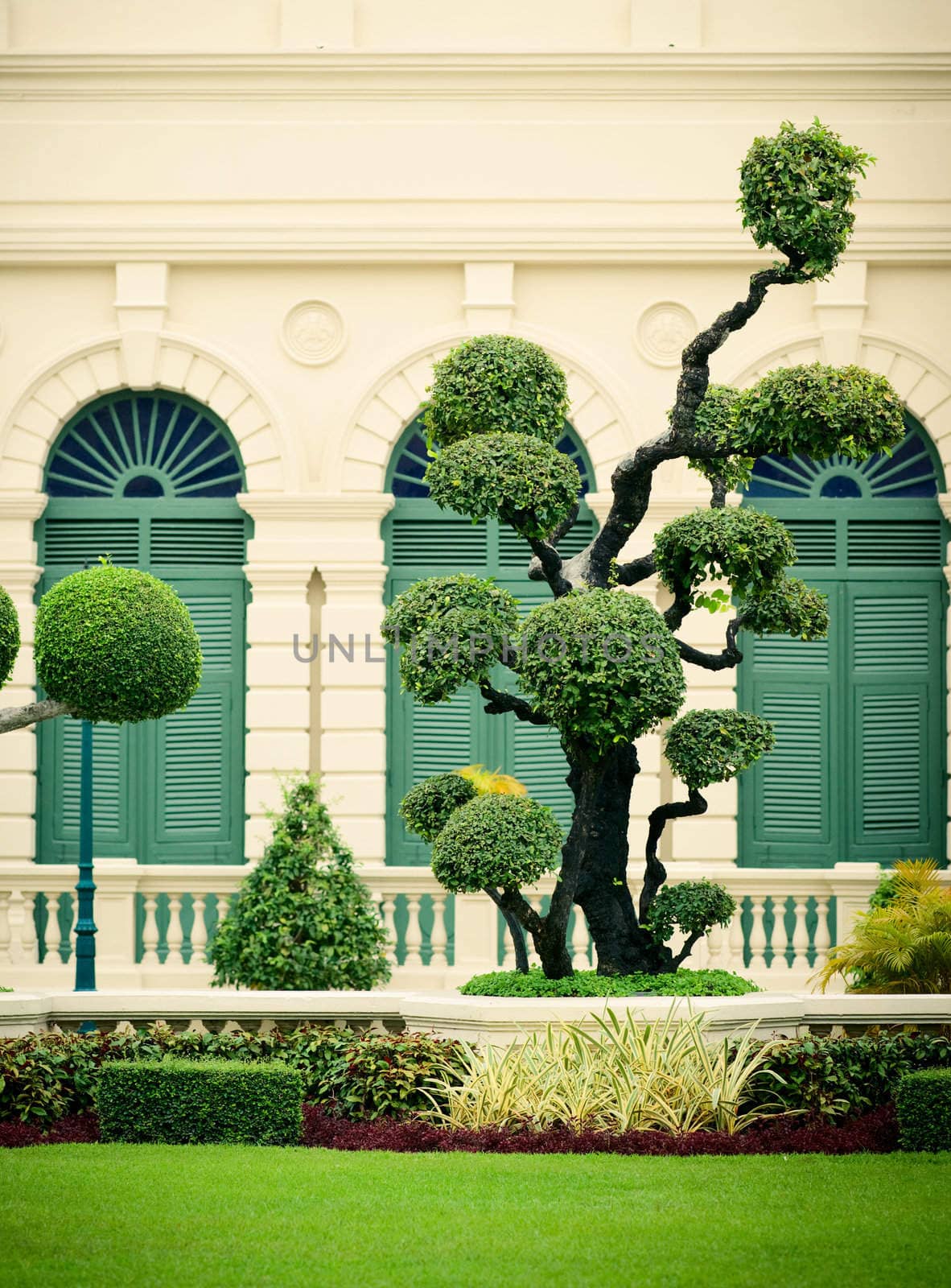 Lawn with decorative trees in Grand Palace, Bangkok, Thailand