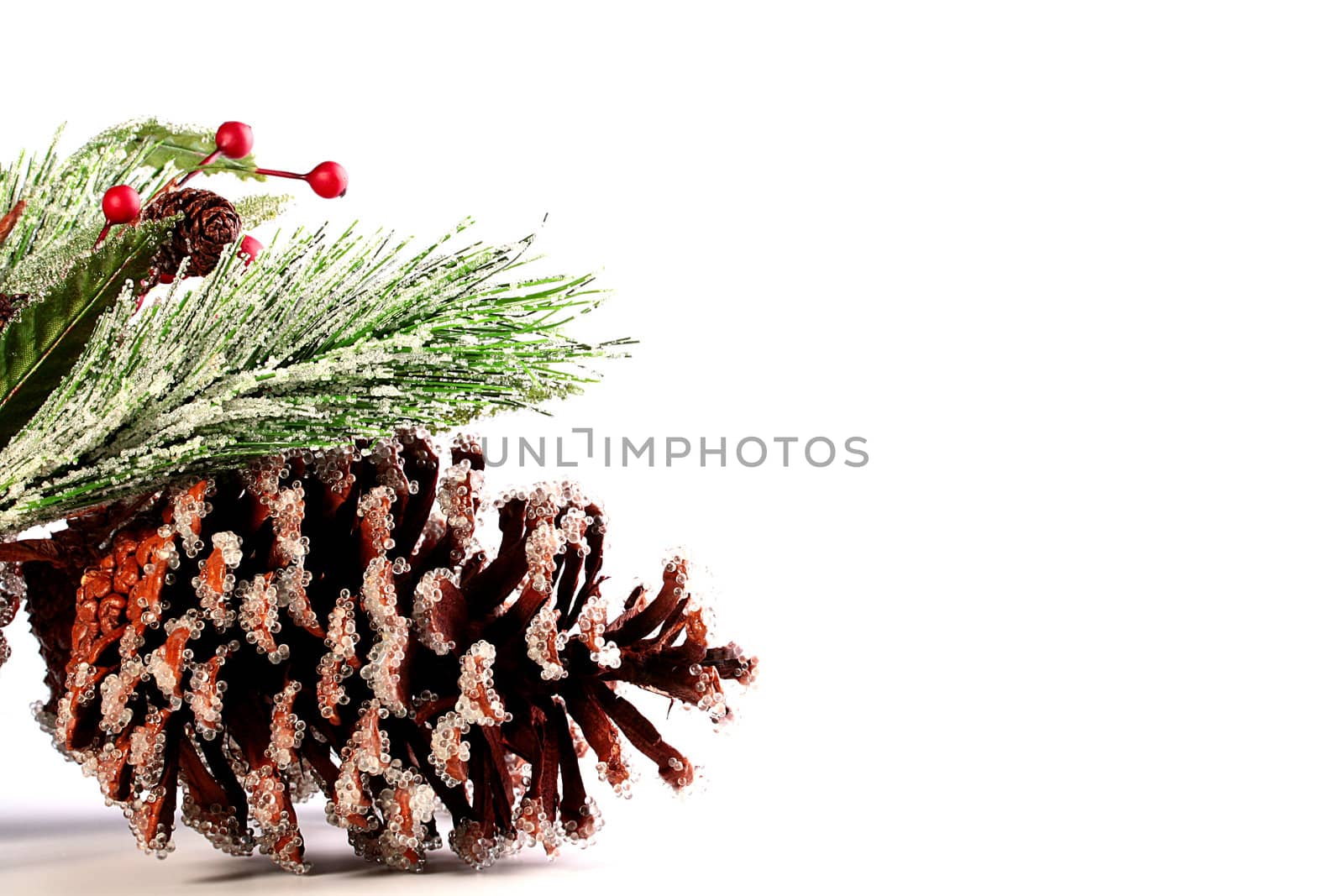 The fur-tree cone, branch and red berries are collected as scenery for celebrating of new year.