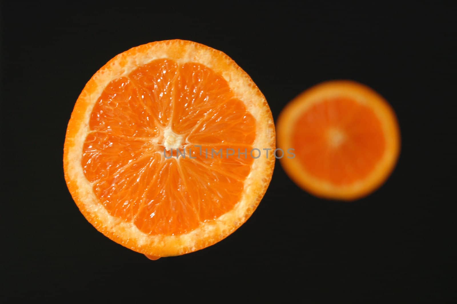 A Colourful Fresh and Fruity Orange Macro Photo