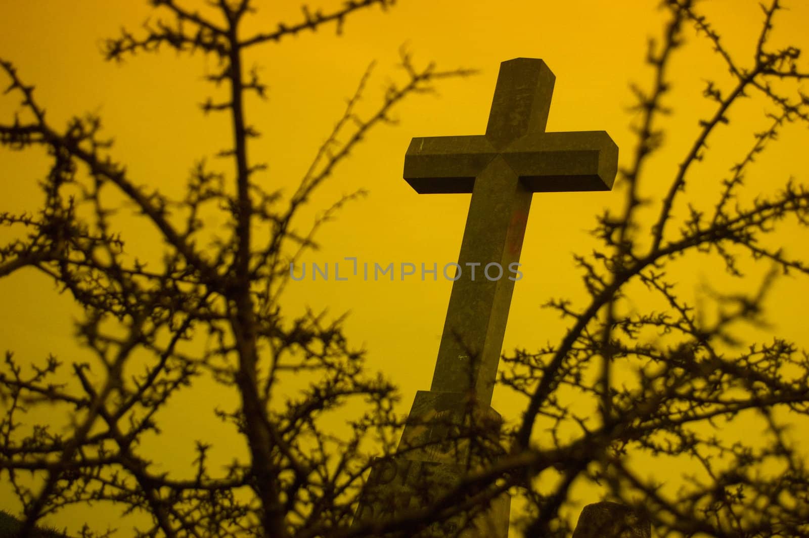 A Moody Gothic Style Hill Top Cross Photo