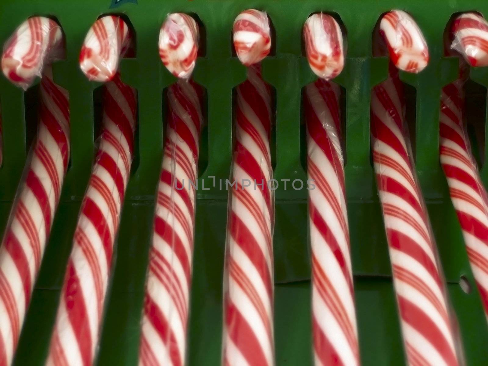 Candy Canes for Christmas Decorations