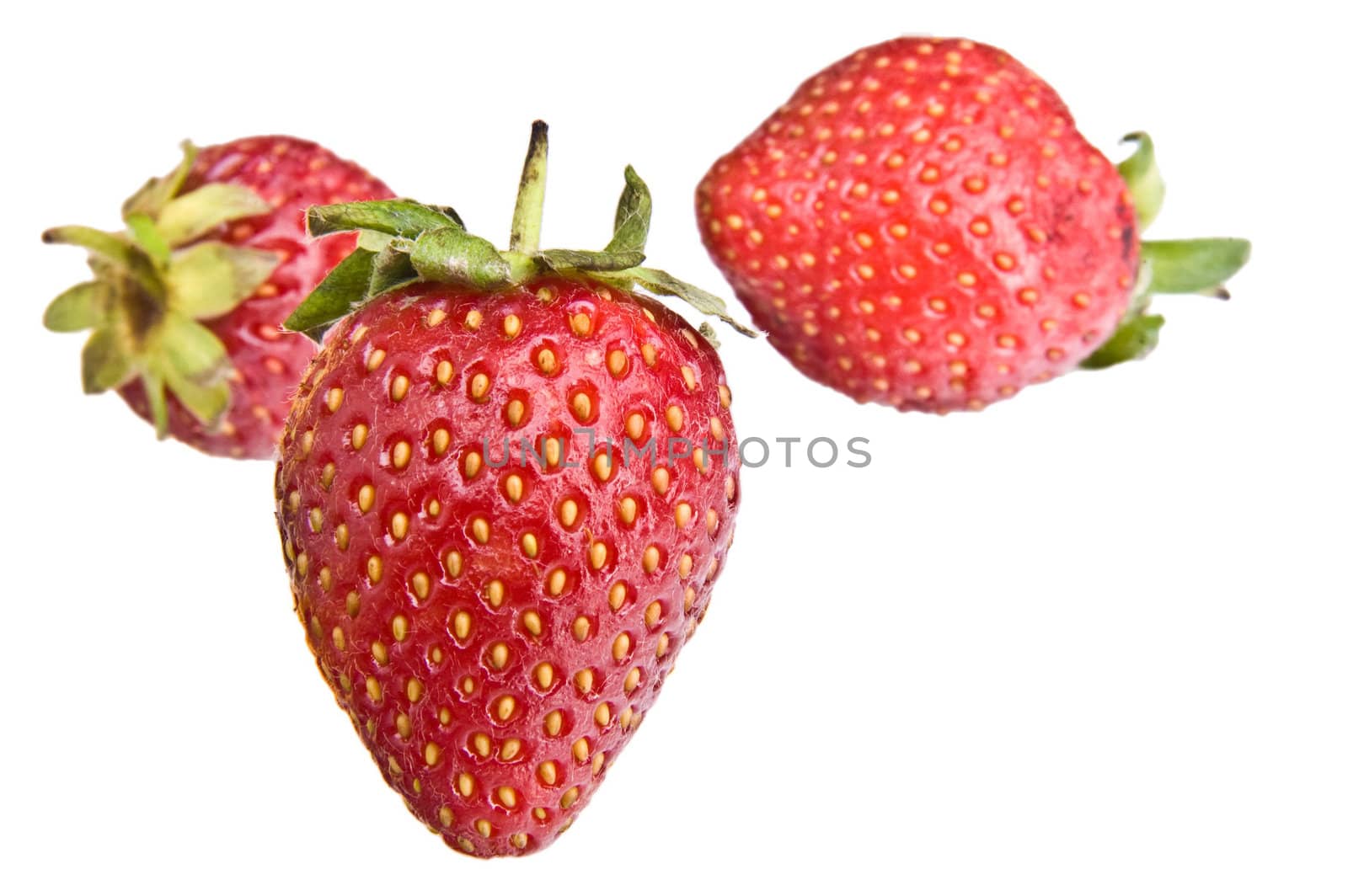 Isolated Strawberrys by head-off