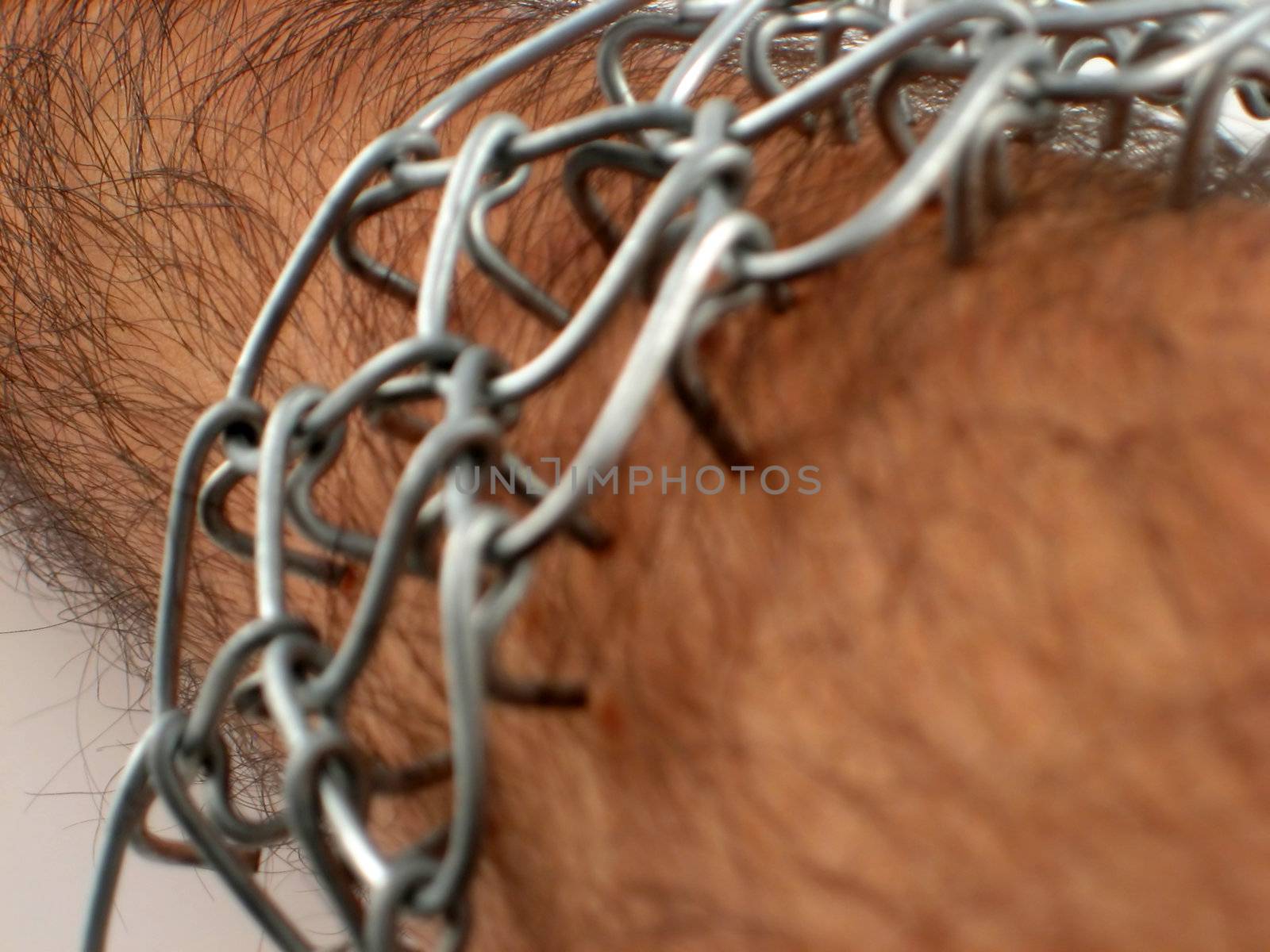 Pictures of a cilice, used for corporal mortification in some religions