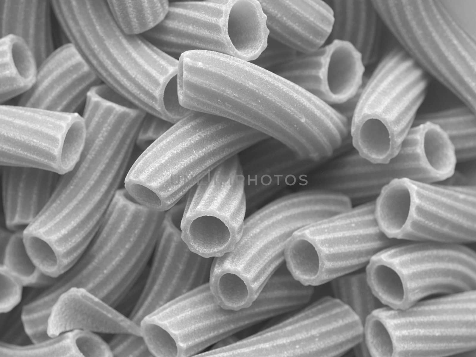 Detail of Macaroni pasta useful as a background