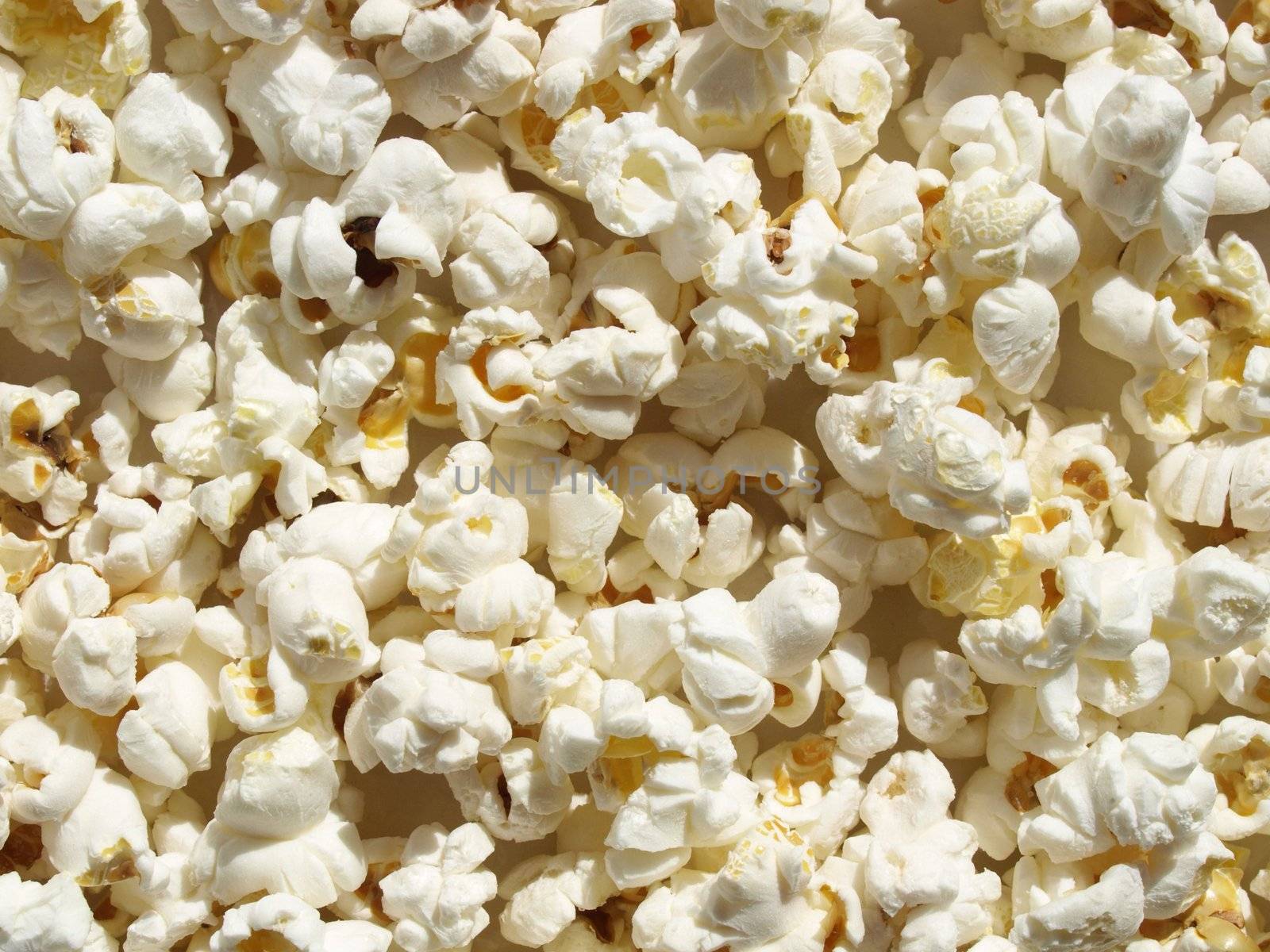 Pop corn maize useful as a background