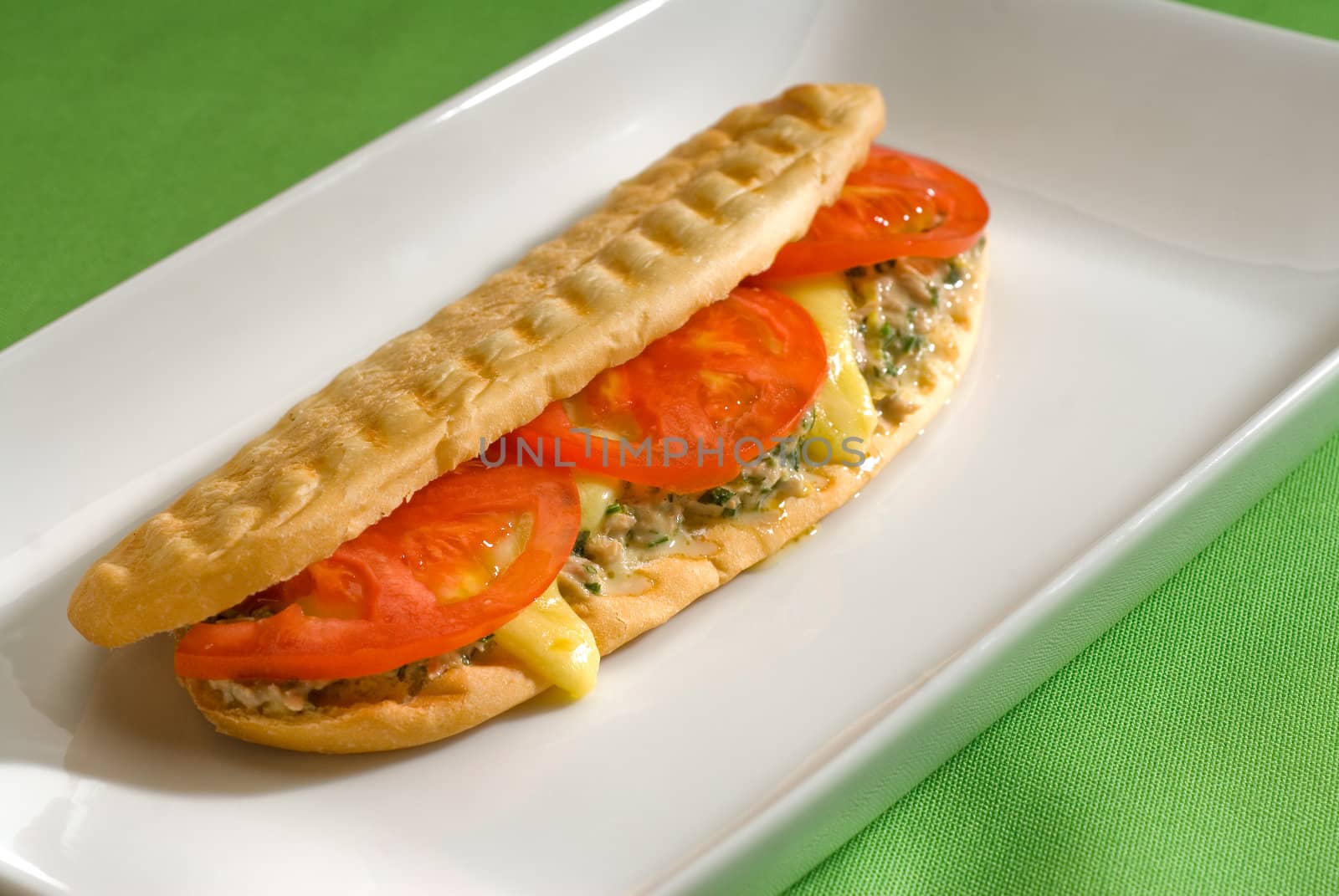 tuna tomato and cheese grilled panini sandwich close up on a plate