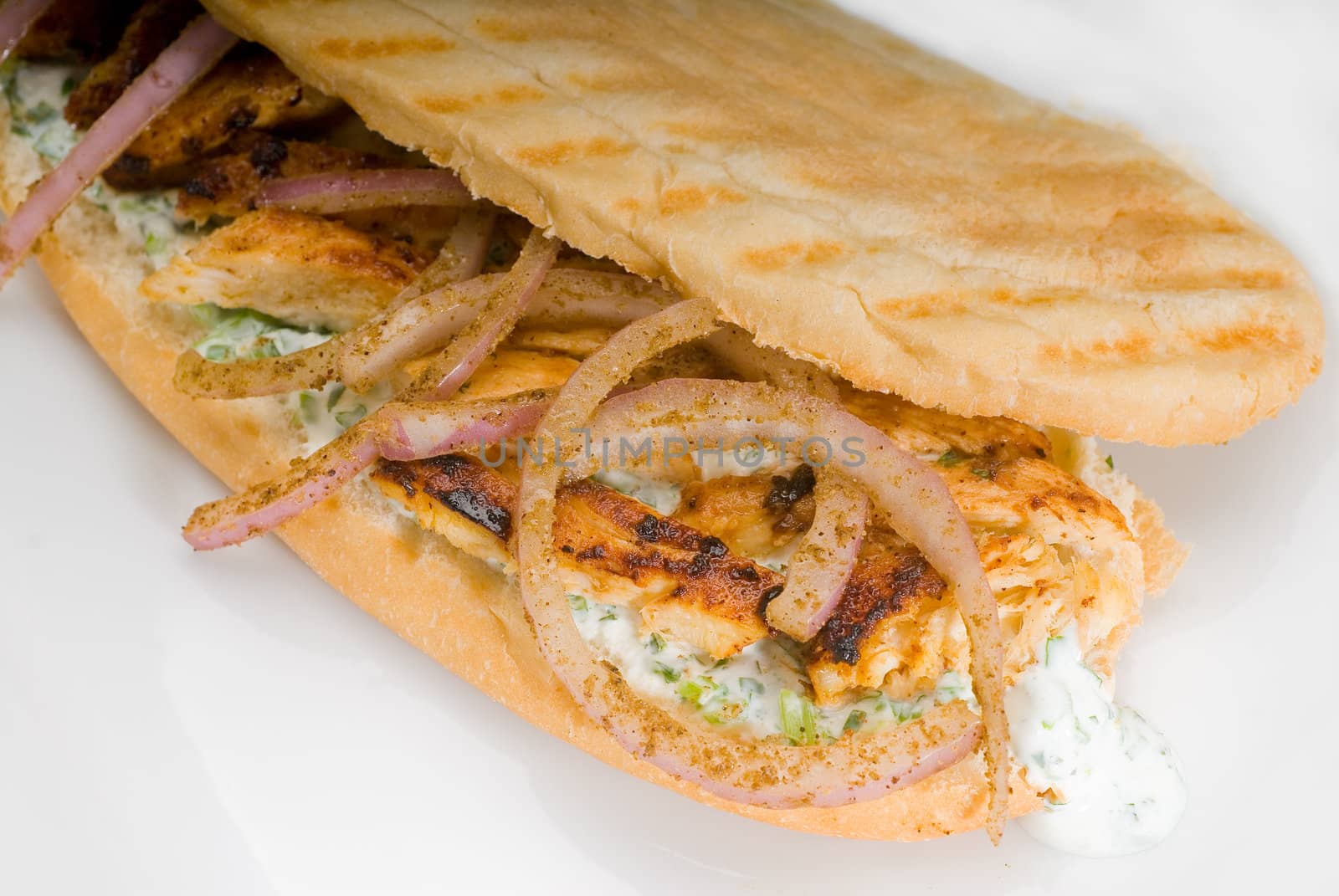 chicken and onion grilled panini sandwich by keko64