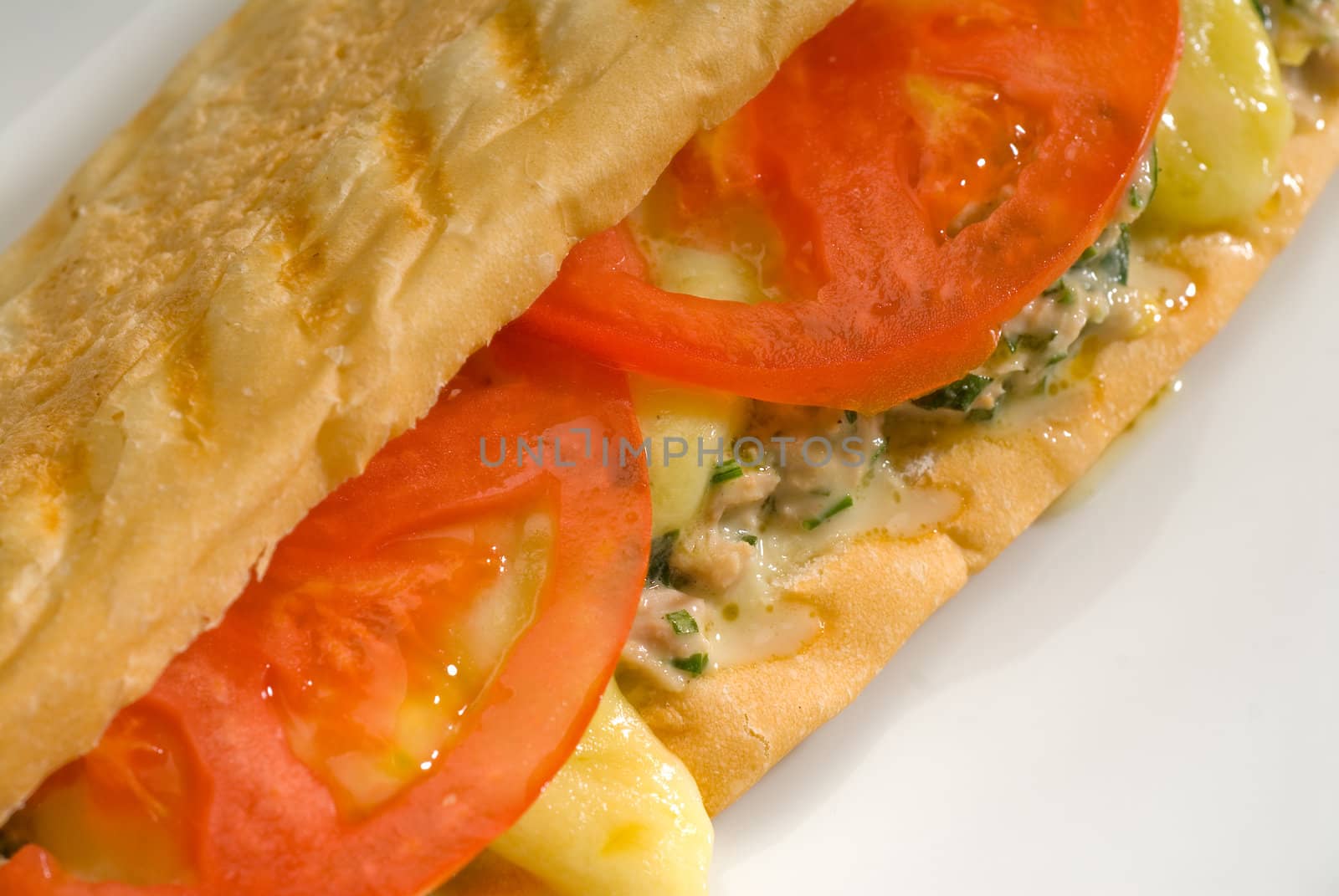 tuna tomato and cheese grilled panini sandwich by keko64