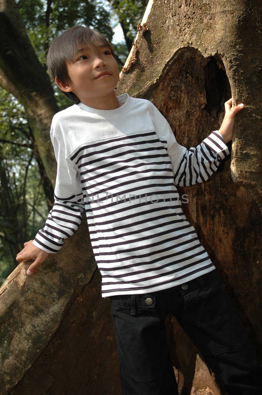 little asian boy stand up beside the tree in park