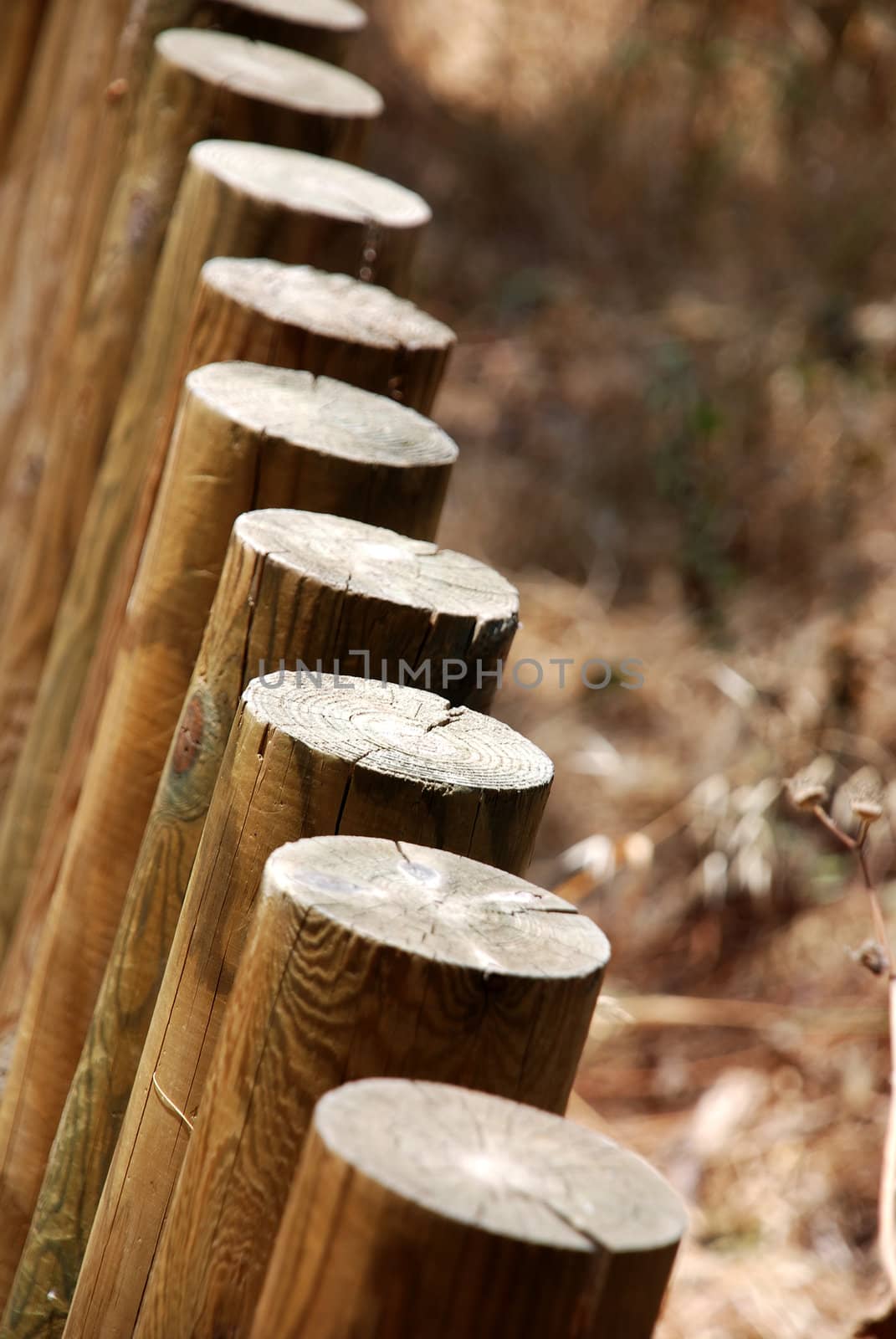 Poles in a fence by albln