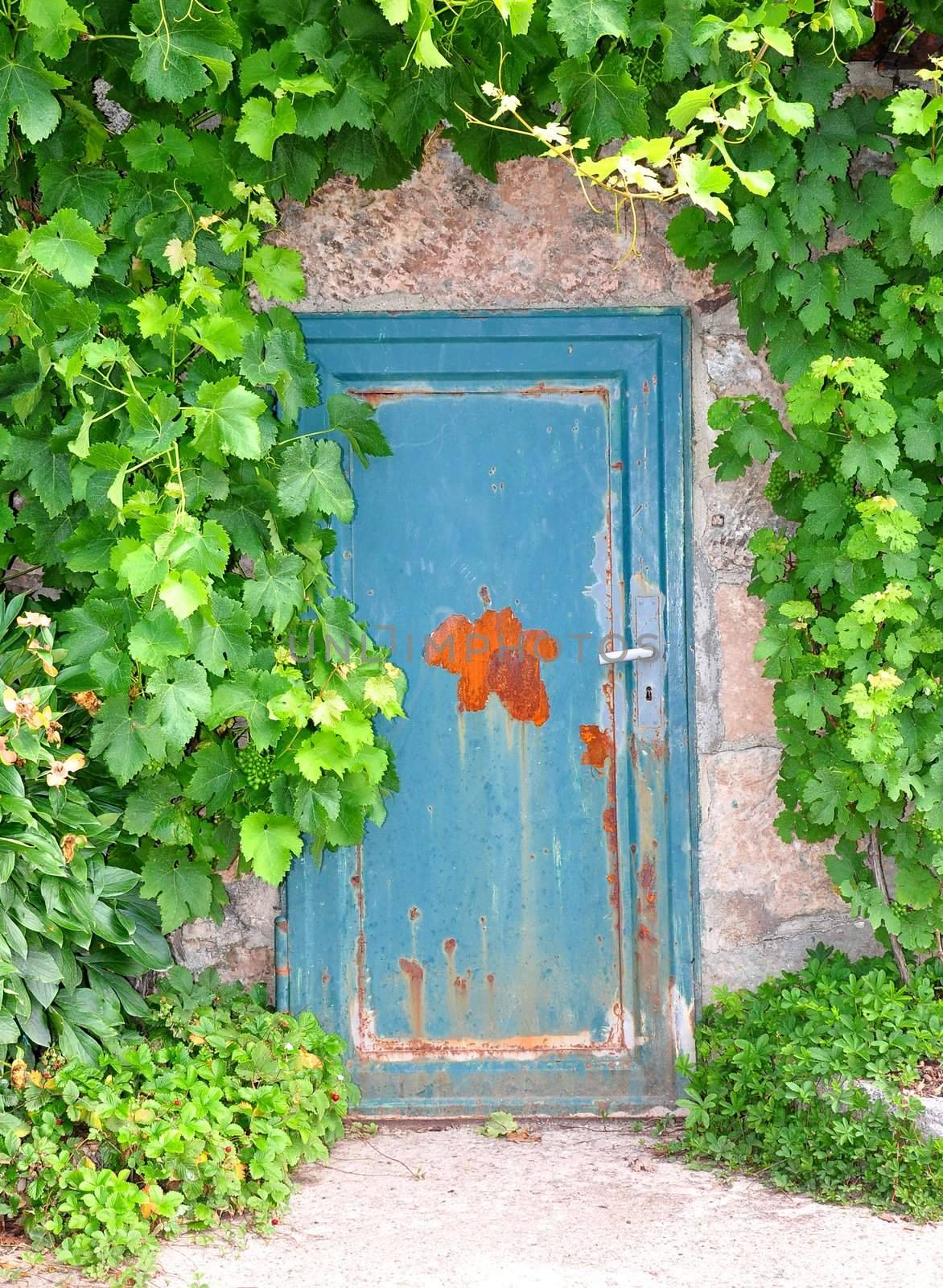 Door to the wine cellar by rbiedermann