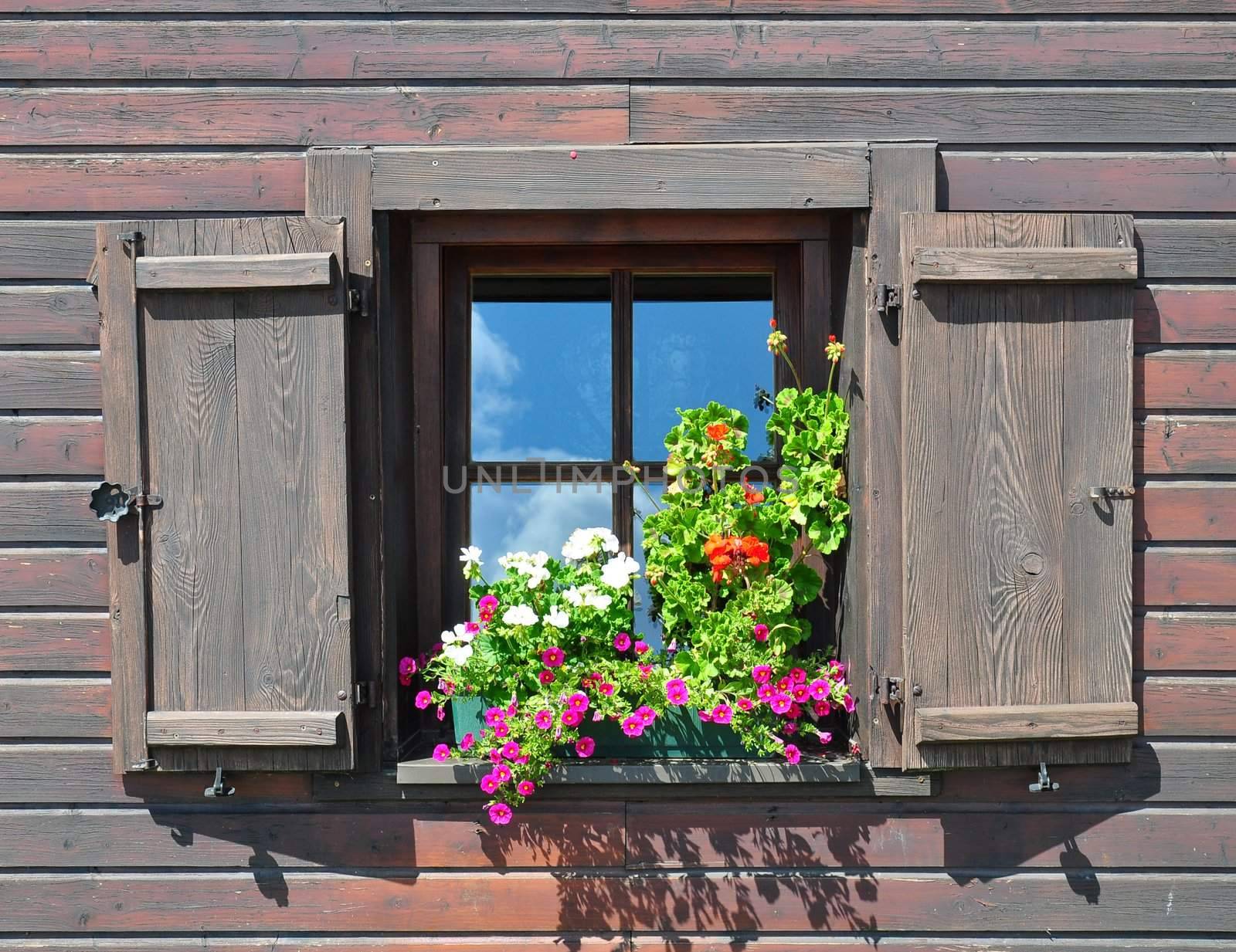 Flowers at window by rbiedermann