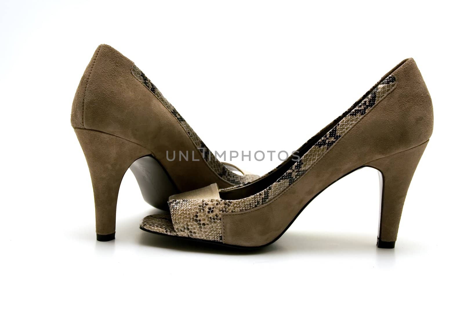 Elegant female shoes by Vladimir