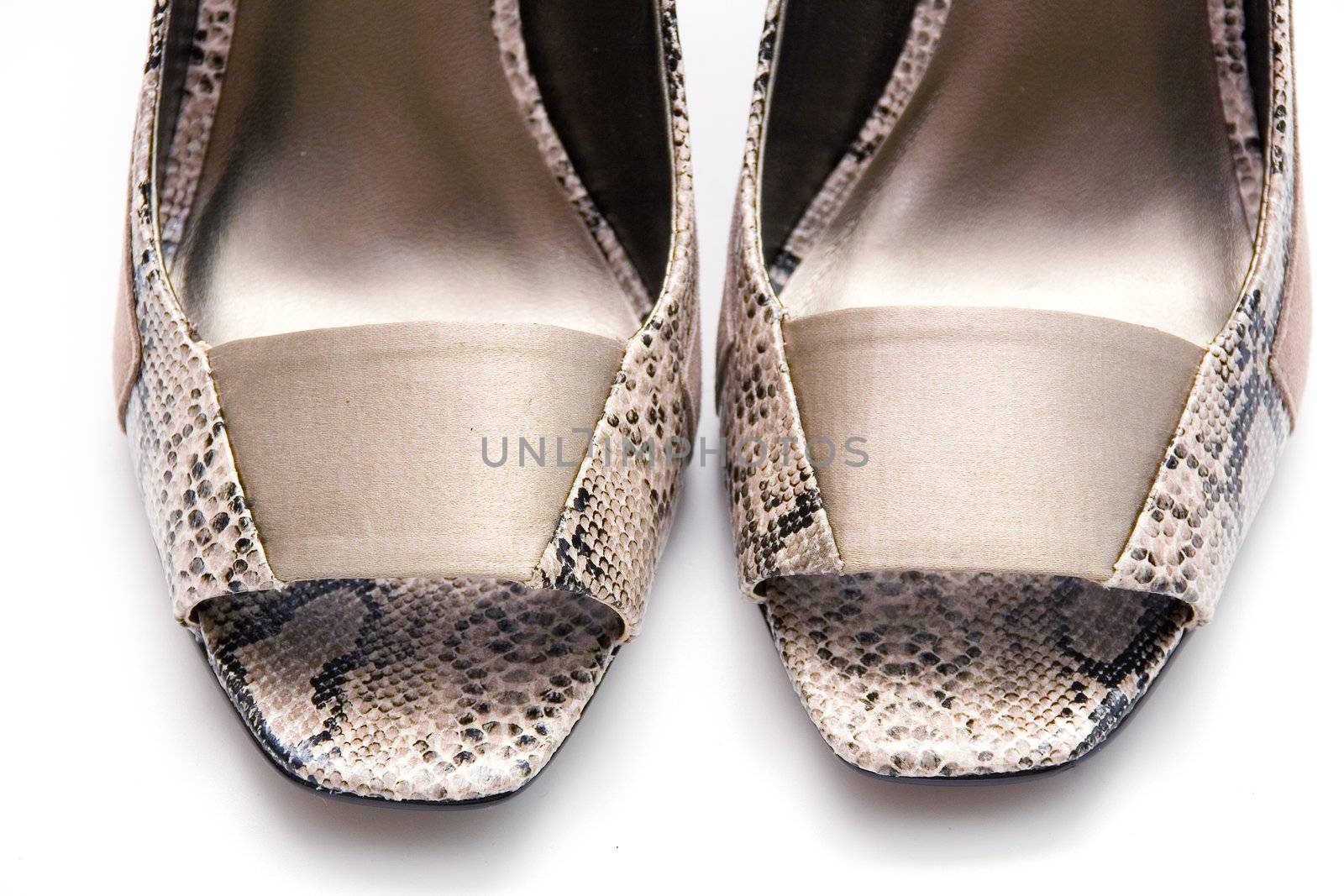 Elegant female shoes with a high heel on a white background.