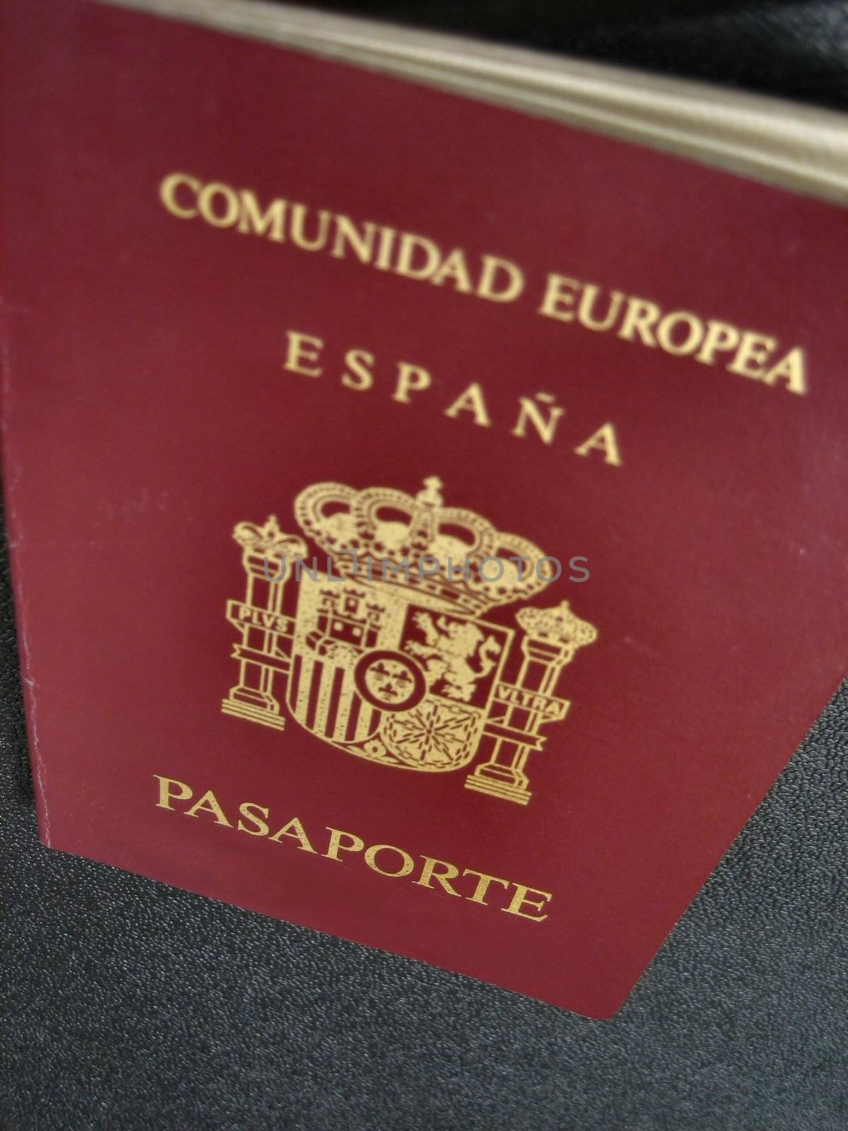 Passports and entrance visa for international travel and business