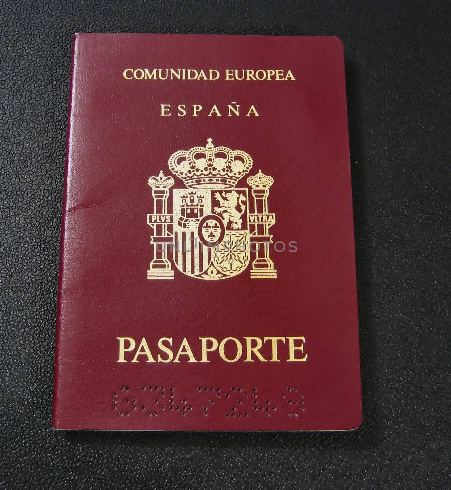 Passports and entrance visa for international travel and business