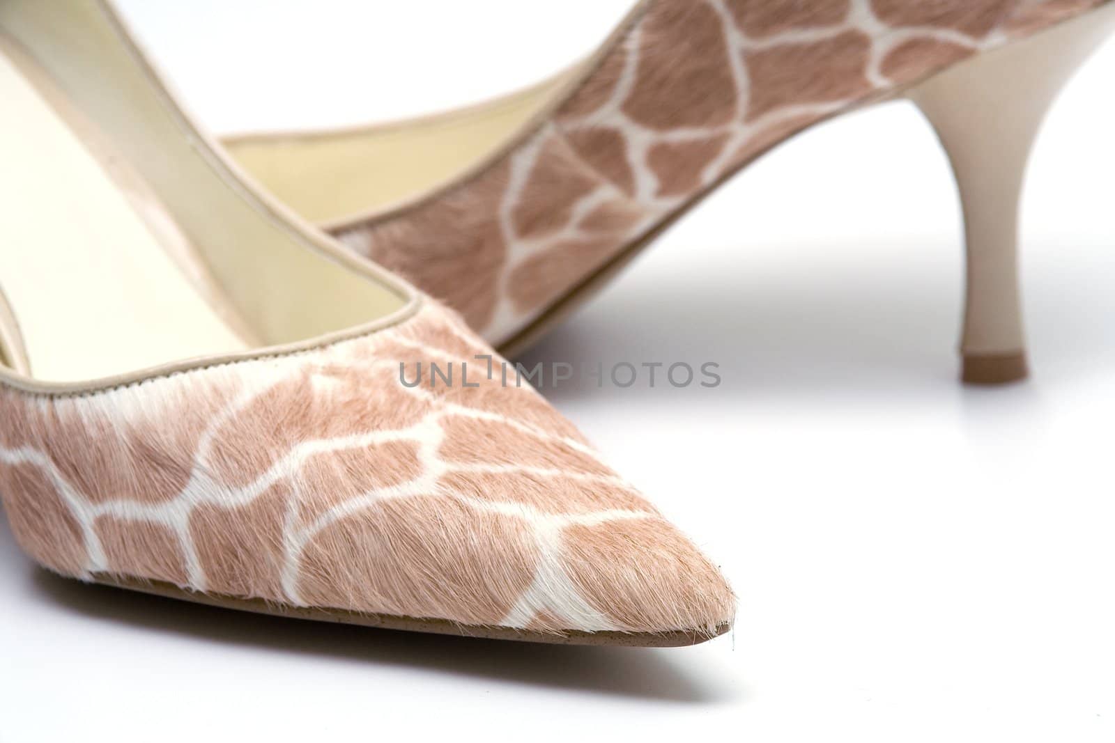 Elegant female shoes by Vladimir