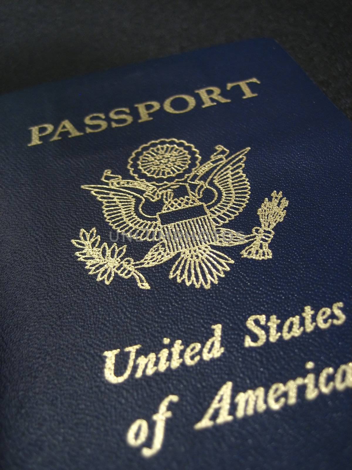 Passports and entrance visa for international travel and business