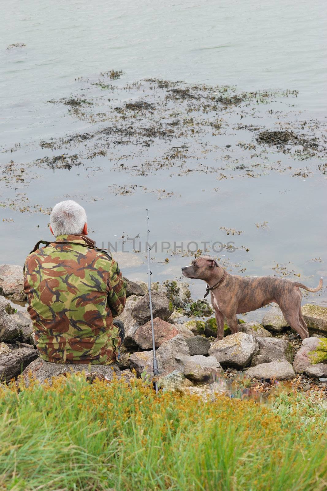 Lone angler fishing with his dog