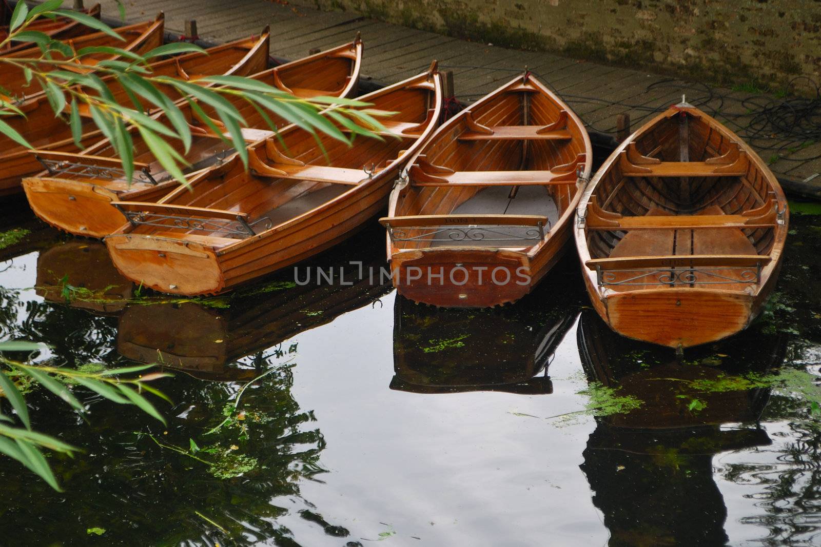 Group of rowing boats