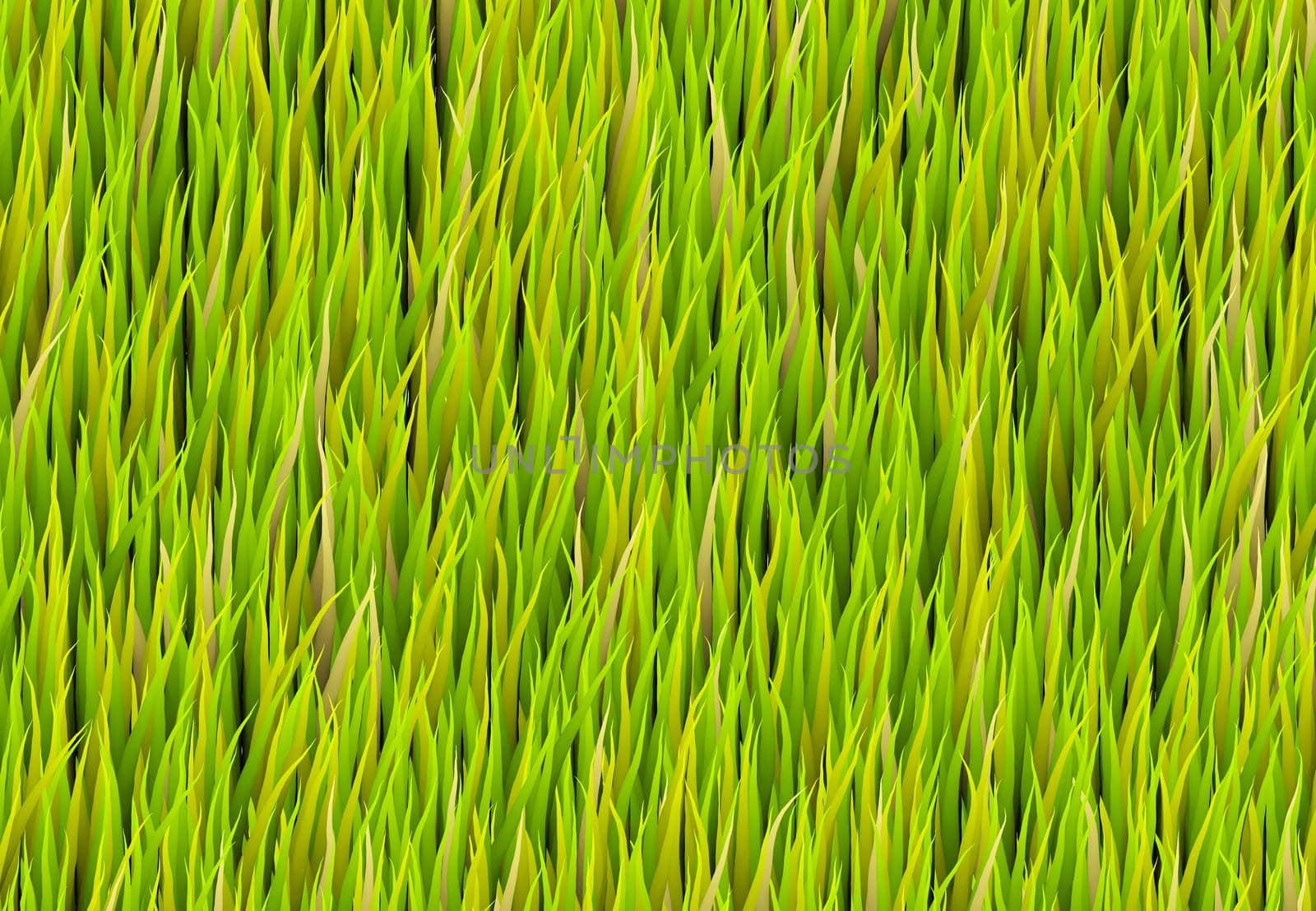 Green Grass Patch Abstract Background Pattern Texture