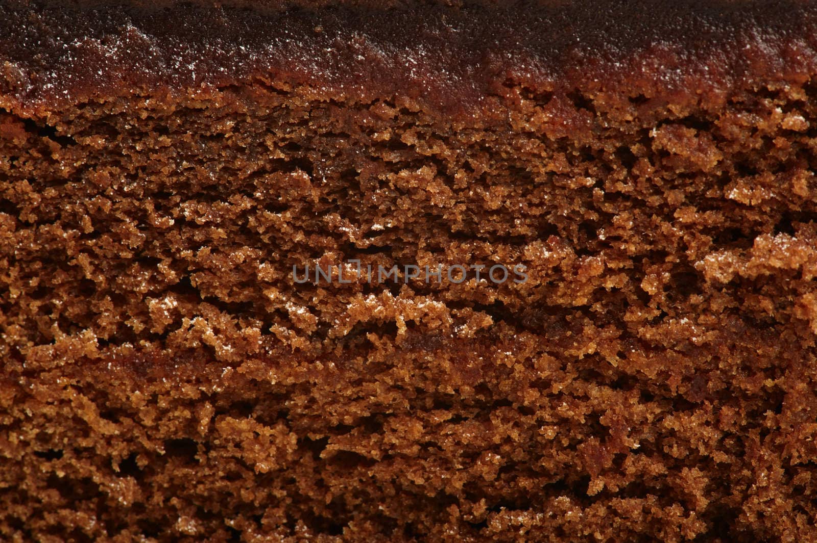 Cake Sacher. Close-up