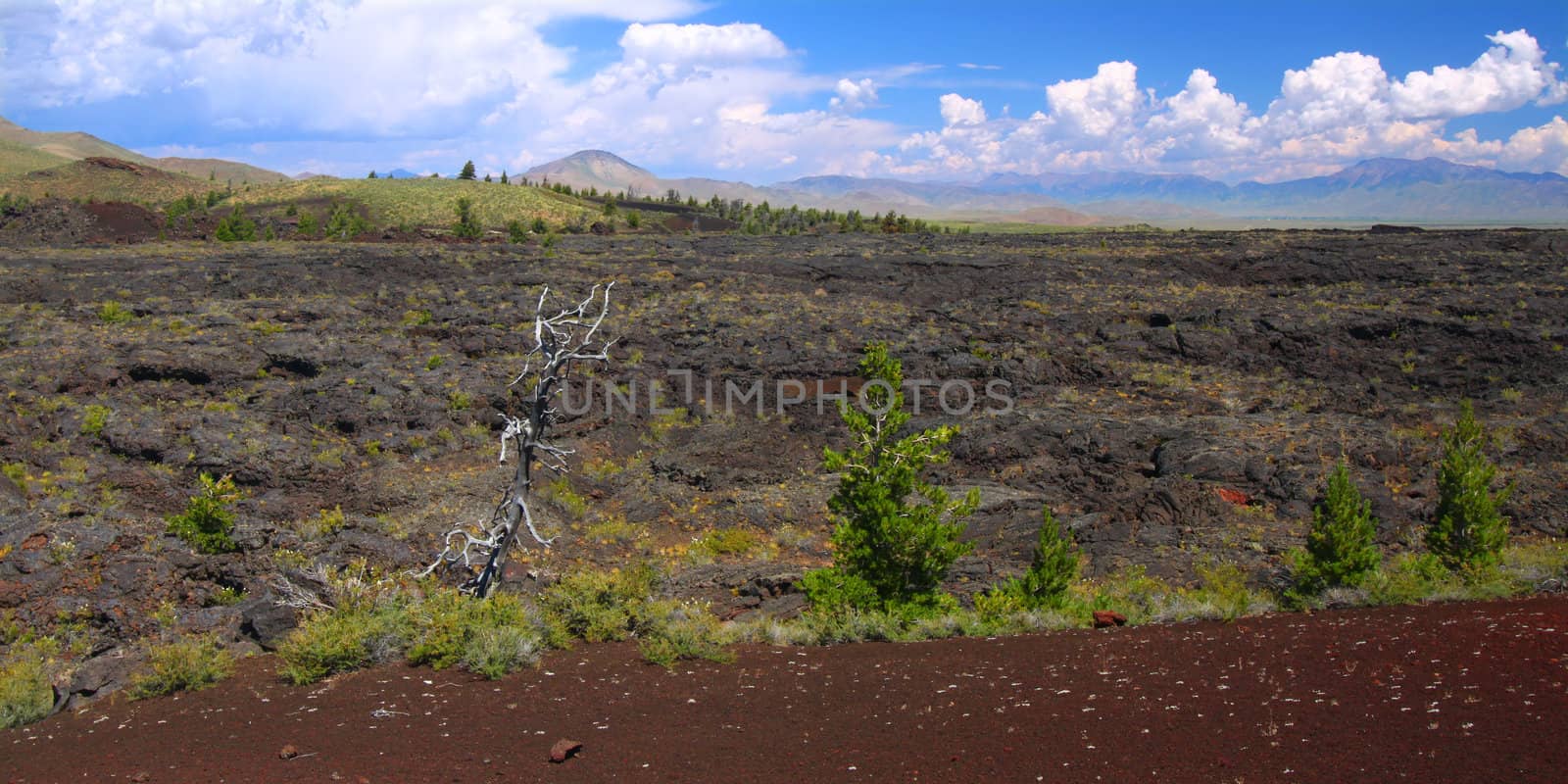 Amazing volcanic landscape at Craters of the Moon National Monument of Idaho.