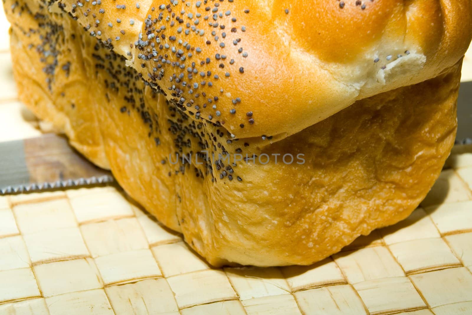 bread by Vladimir