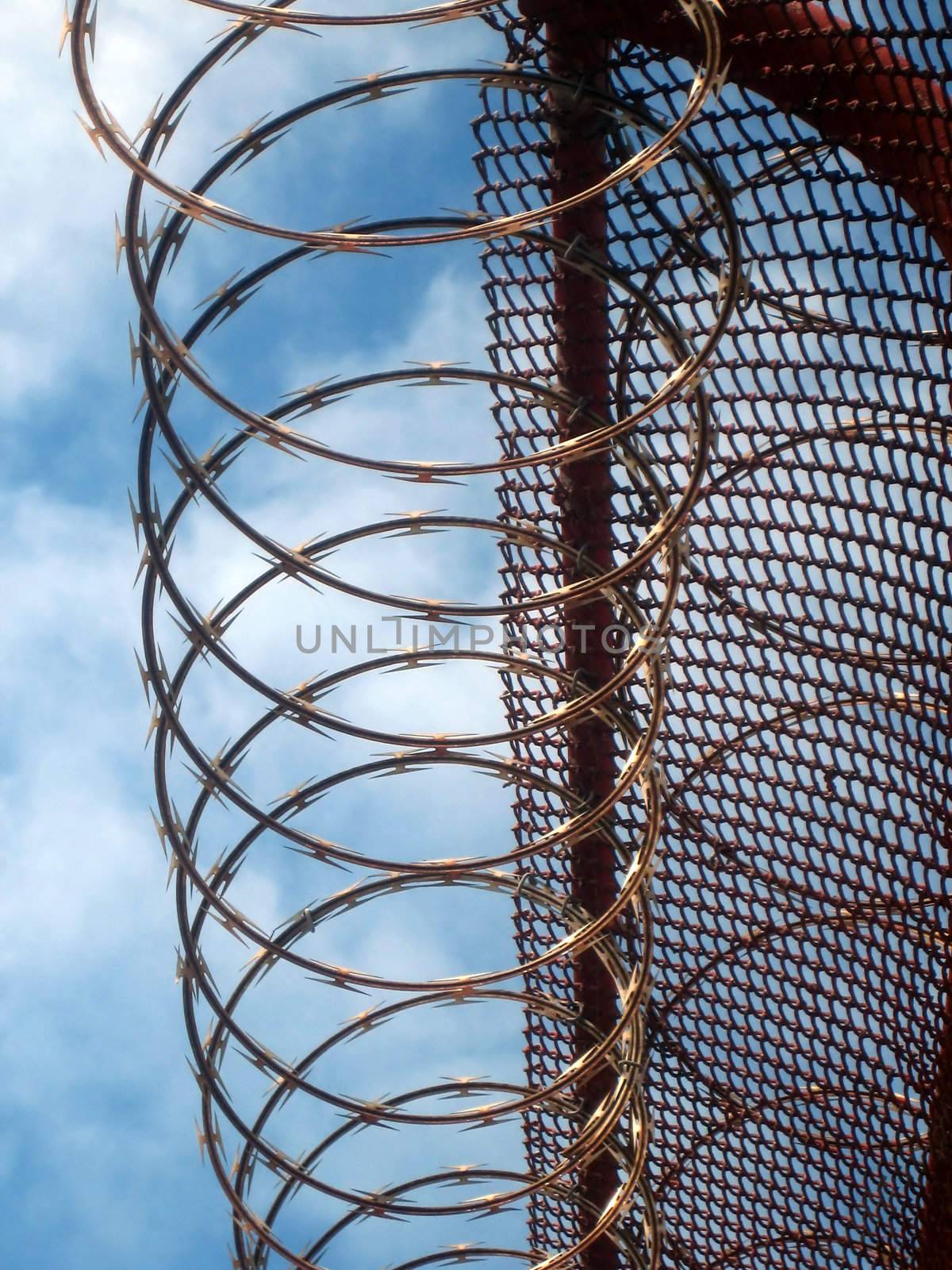 Pictures of barb wire and other protective devices