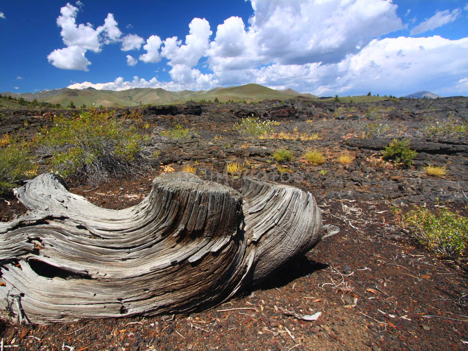 Strange volcanic landscape at Craters of the Moon National Monument of Idaho.