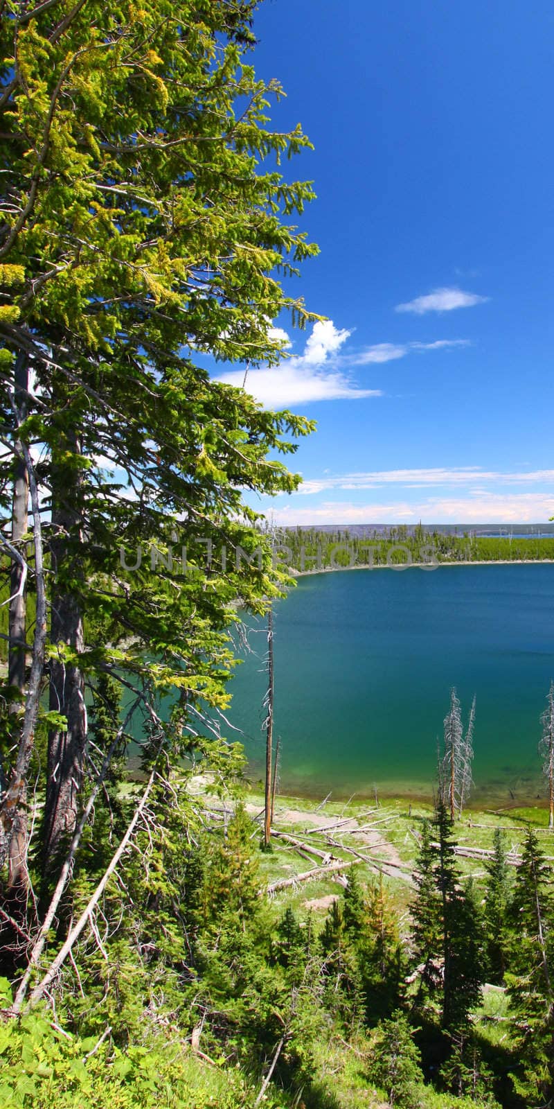 Beautiful blue waters Duck Lake in Yellowstone National Park of Wyoming, USA.